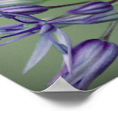 Allium Poster (Ecke)