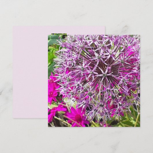 Allium & Summer Blume Flat Card (Vorne/Hinten)