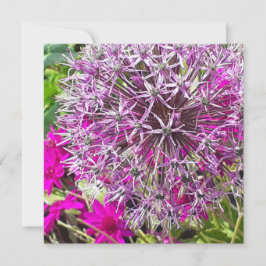 Allium & Summer Blume Flat Card
