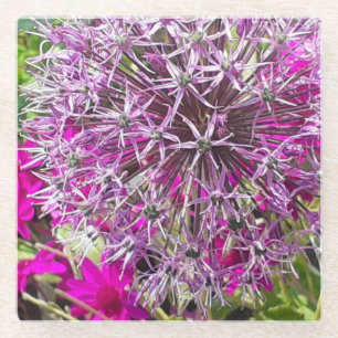 Allium & Summer Blume Glasuntersetzer