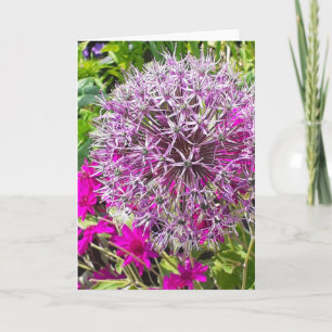 Allium & Summer Blume Grußkarte Karte