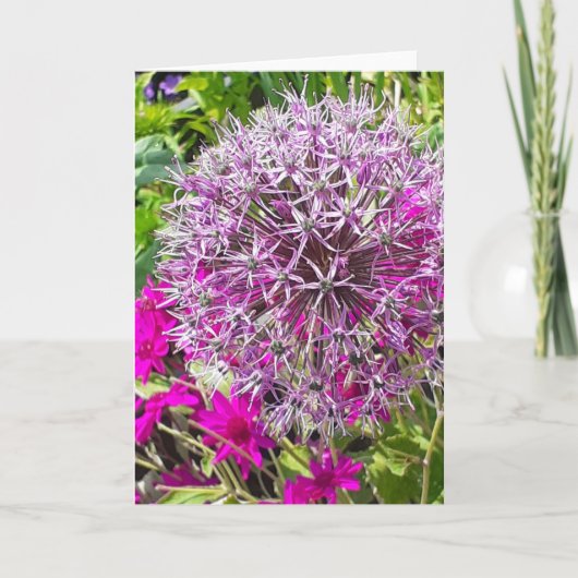 Allium & Summer Blume Grußkarte Karte (Vorderseite)