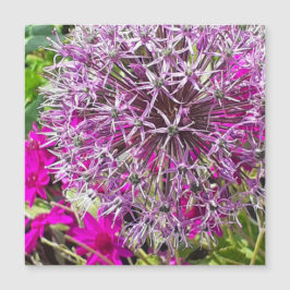Allium & Summer Blume Magnetkarte