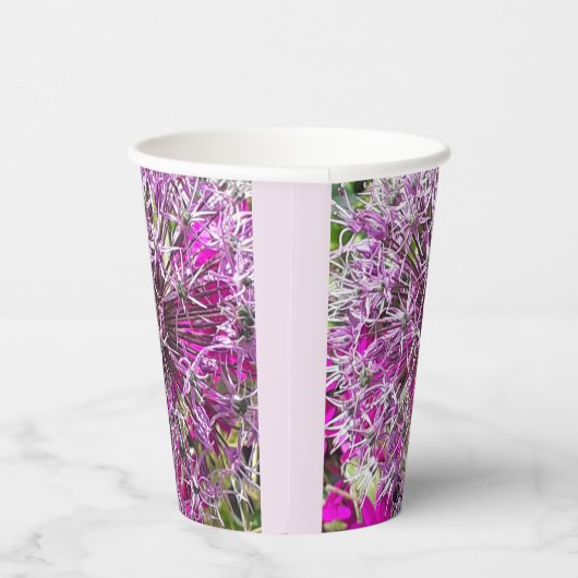 Allium & Summer Blume Pappbecher (Rechts)
