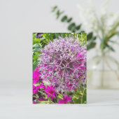 Allium & Summer Blume Postkarte (Stehend Vorderseite)