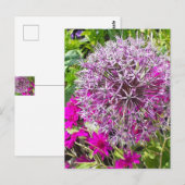 Allium & Summer Blume Postkarte (Vorne/Hinten)