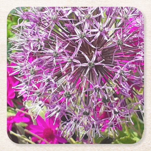 Allium & Summer Blume Rechteckiger Pappuntersetzer (Vorderseite)