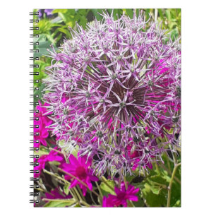 Allium & Summer Blume SpiralNotebook Notizblock