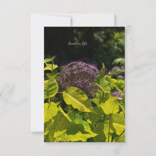 Allium verstecken mitteilungskarte (Vorderseite)