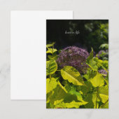 Allium verstecken mitteilungskarte (Vorne/Hinten)