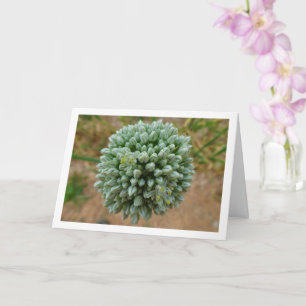 Allium, Wilde Zwiebelblüte Karte