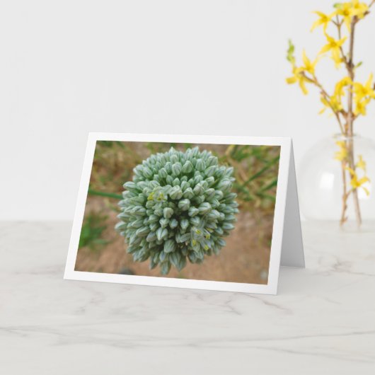 Allium, Wilde Zwiebelblüte Karte (Gelbe Blume)
