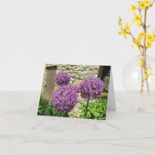 Alliumkarte (leer) karte