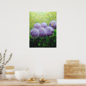 Alliums bei Laycock 18inx24in Value Poster Matte (Küche)