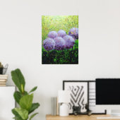 Alliums bei Laycock 18inx24in Value Poster Matte (Heimbüro)