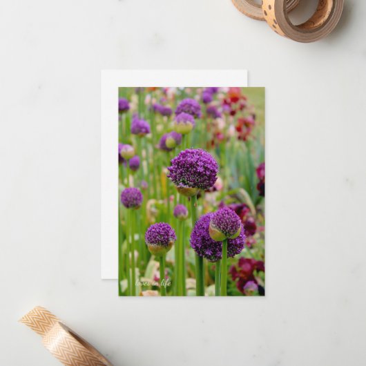 Alliums Mitteilungskarte (Vorderseite/Rückseite Beispiel)