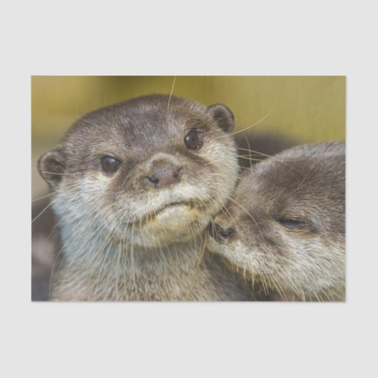 Alljährlich in Liebe Seidenpapier (Vorderseite)