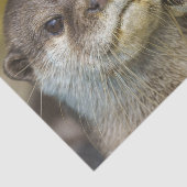 Alljährlich in Liebe Seidenpapier (Ausschnitt)