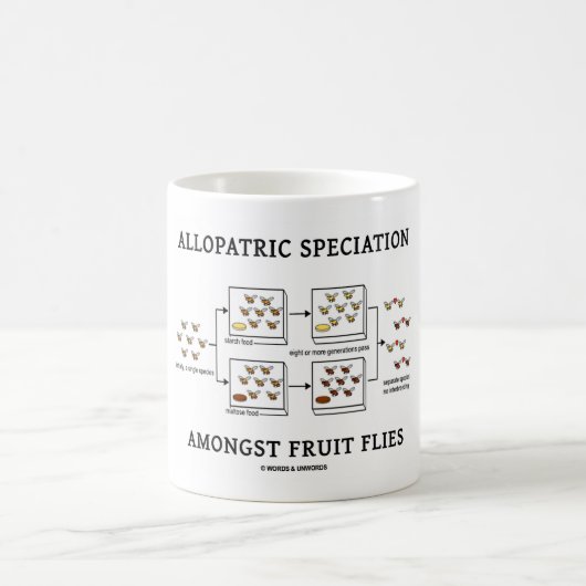 Allopatric Speciation unter Frucht-Fliegen Kaffeetasse (Mittel)