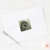 Allosaurus Dinosaur Square Sticker (Umschlag)