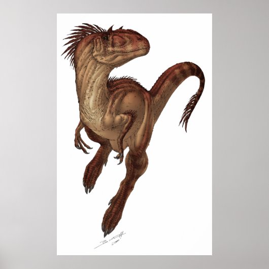Allosaurus fragilis poster (Vorne)
