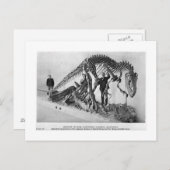 Allosaurus skelettartige Postkarte (Vorne/Hinten)