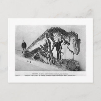 Allosaurus skelettartige Postkarte