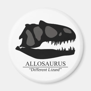 Allosaurus Skull Magnet