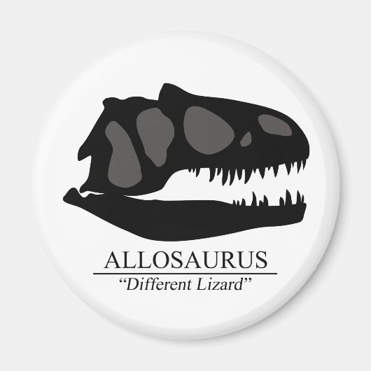 Allosaurus Skull Magnet (Vorne)