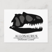 Allosaurus Skull Postkarte (Vorderseite)