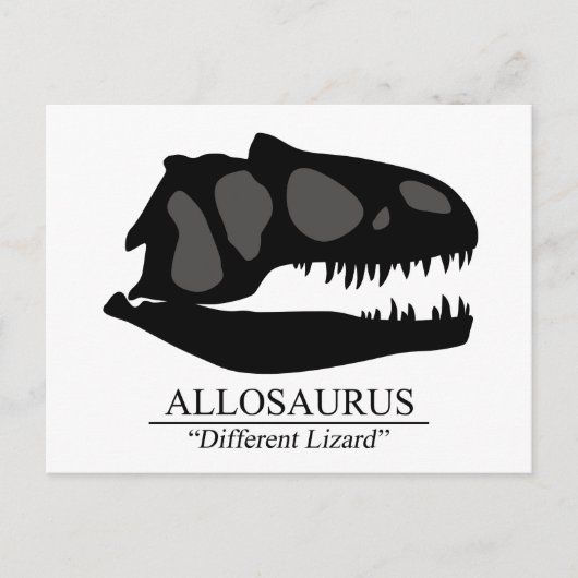 Allosaurus Skull Postkarte (Vorderseite)