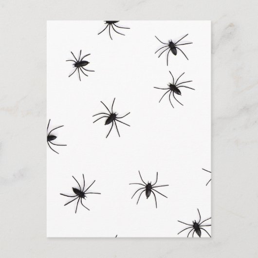 Allover Spiders Halloween Postkarte (Vorderseite)