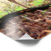 allow Deer of the English Estate Fotodruck (Ecke)