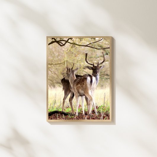 allow Deer of the English Estate Fotodruck