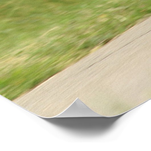 Allroad Wheelie Poster (Ecke)