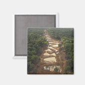 Alluvialer Goldbergbau. Regenwald, Guyana. Magnet (Vorderseite/Rückseite)