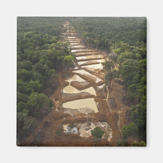 Alluvialer Goldbergbau. Regenwald, Guyana. Magnet (Vorne)