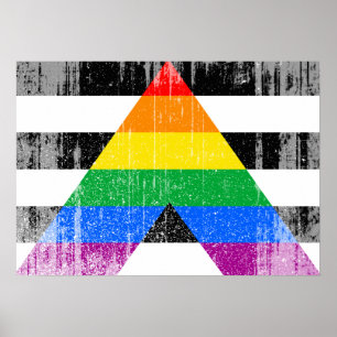 ALLY FLAG DISTRESSED -.png Poster