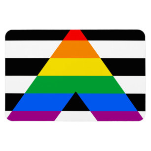 ALLY FLAG ORIGINAL -.png remains the same as it's Magnet