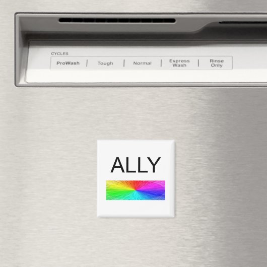 Ally Magnet (In Situ (Geschirrspüler))