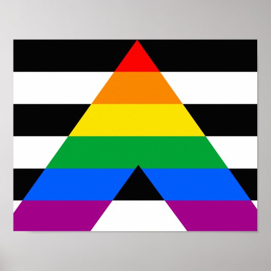 Ally Pride Flag Poster (Vorne)