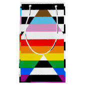 Ally Progress Pride Flag Kleine Geschenktüte (Vorderseite)