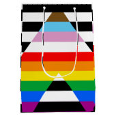 Ally Progress Pride Flag Mittlere Geschenktüte (Rückseite)