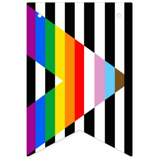 Ally Progress Pride Flag Wimpelkette (Zweite Fahne)