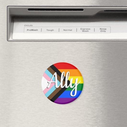 Ally | Progress Prilag Flag Magnet (In Situ (Geschirrspüler))