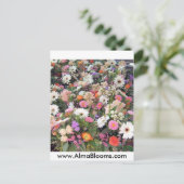 Alma Blooms 1 Postkarte (Stehend Vorderseite)