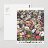 Alma Blooms 1 Postkarte (Vorne/Hinten)