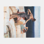 Alma-Tadema Klassisches Kunstmuseum Druck Heimtext Fleecedecke (Vorderseite (Horizontal))