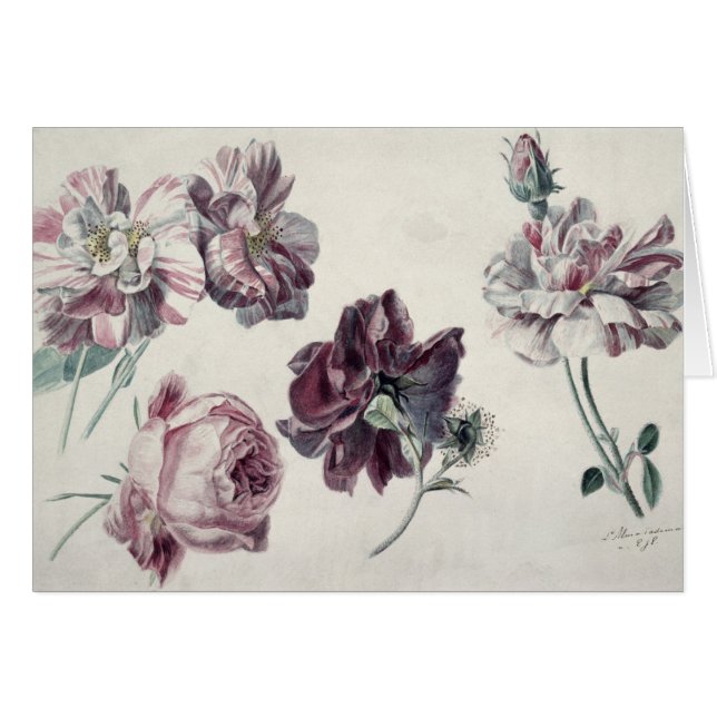 Alma-Tadema | ROSE (Vorderseite (Horizontal))