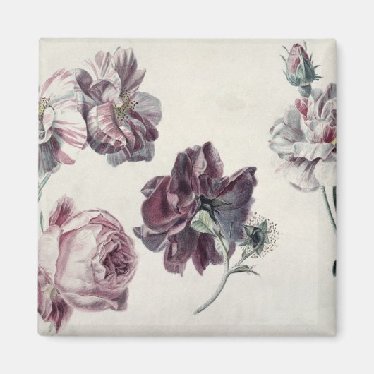 Alma-Tadema | ROSE Magnet (Vorne)